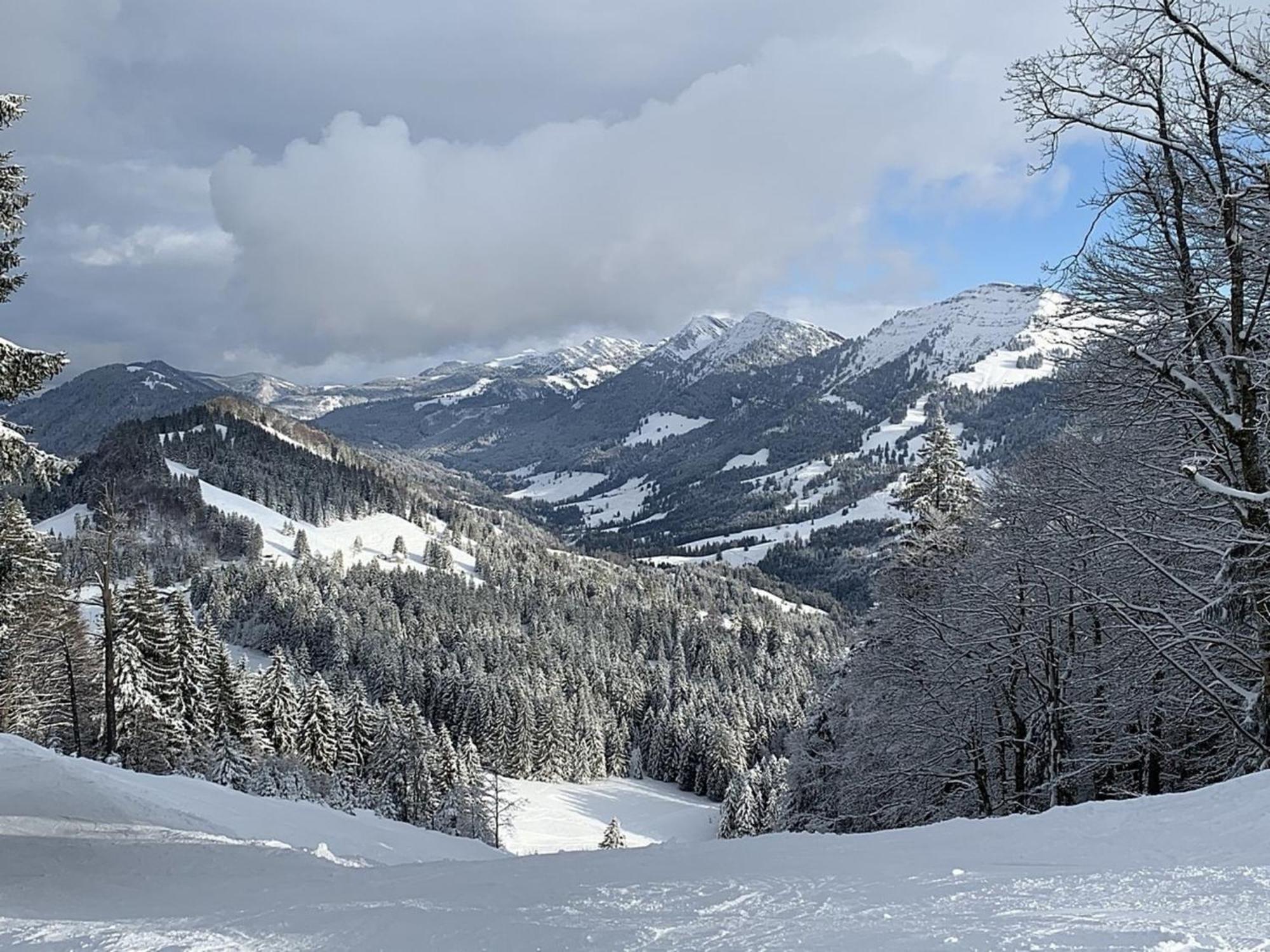 Appartement Nr 19, Alpenappartementhaus, Oberstaufen-Steibis, Allgaeu, Oberstaufen Plus Zewnętrze zdjęcie
