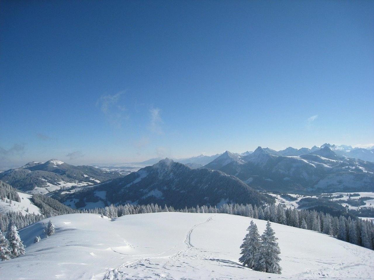 Appartement Nr 19, Alpenappartementhaus, Oberstaufen-Steibis, Allgaeu, Oberstaufen Plus Zewnętrze zdjęcie